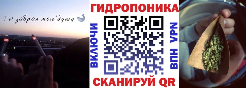 Шишки марихуана семена  магазин    Лесосибирск 